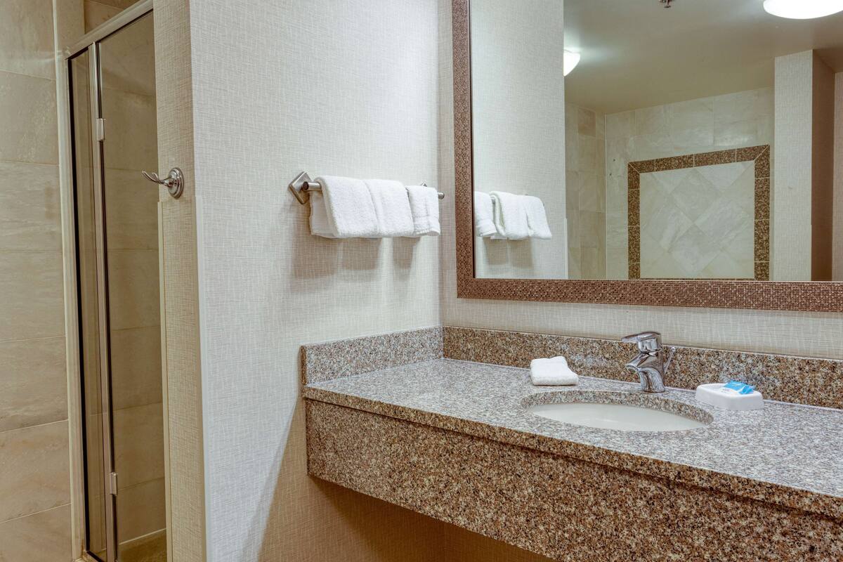 combined shower/bathtub, free toiletries, hair dryer, towels