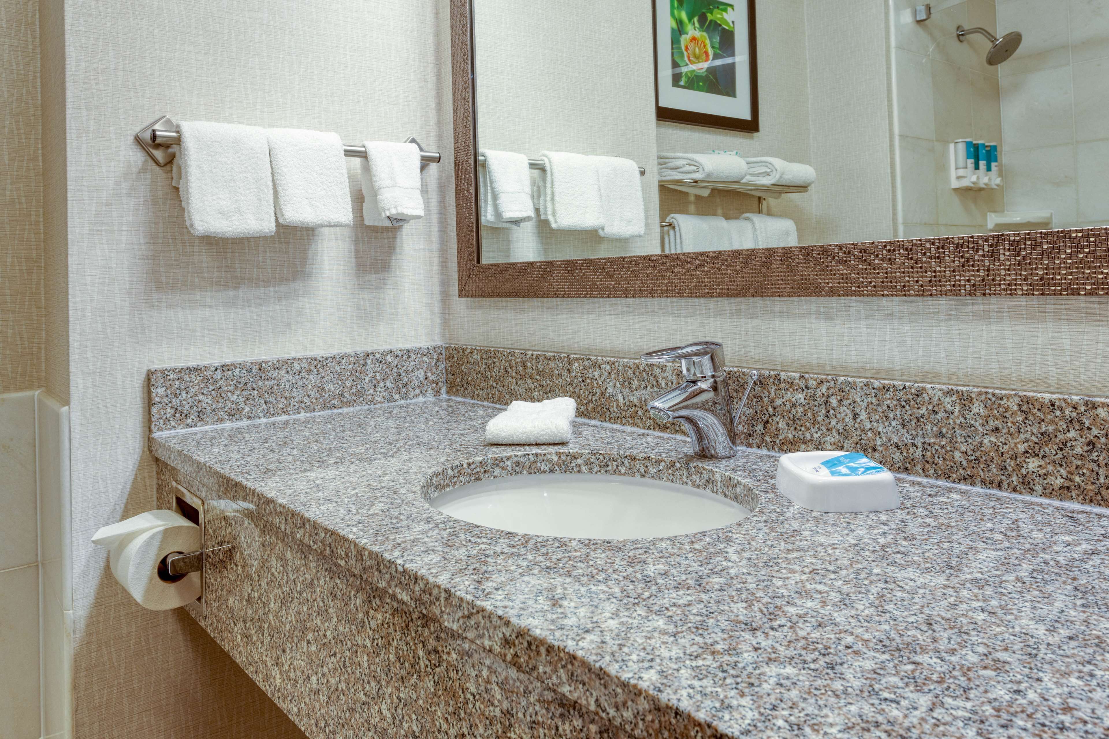 combined shower/bathtub, free toiletries, hair dryer, towels