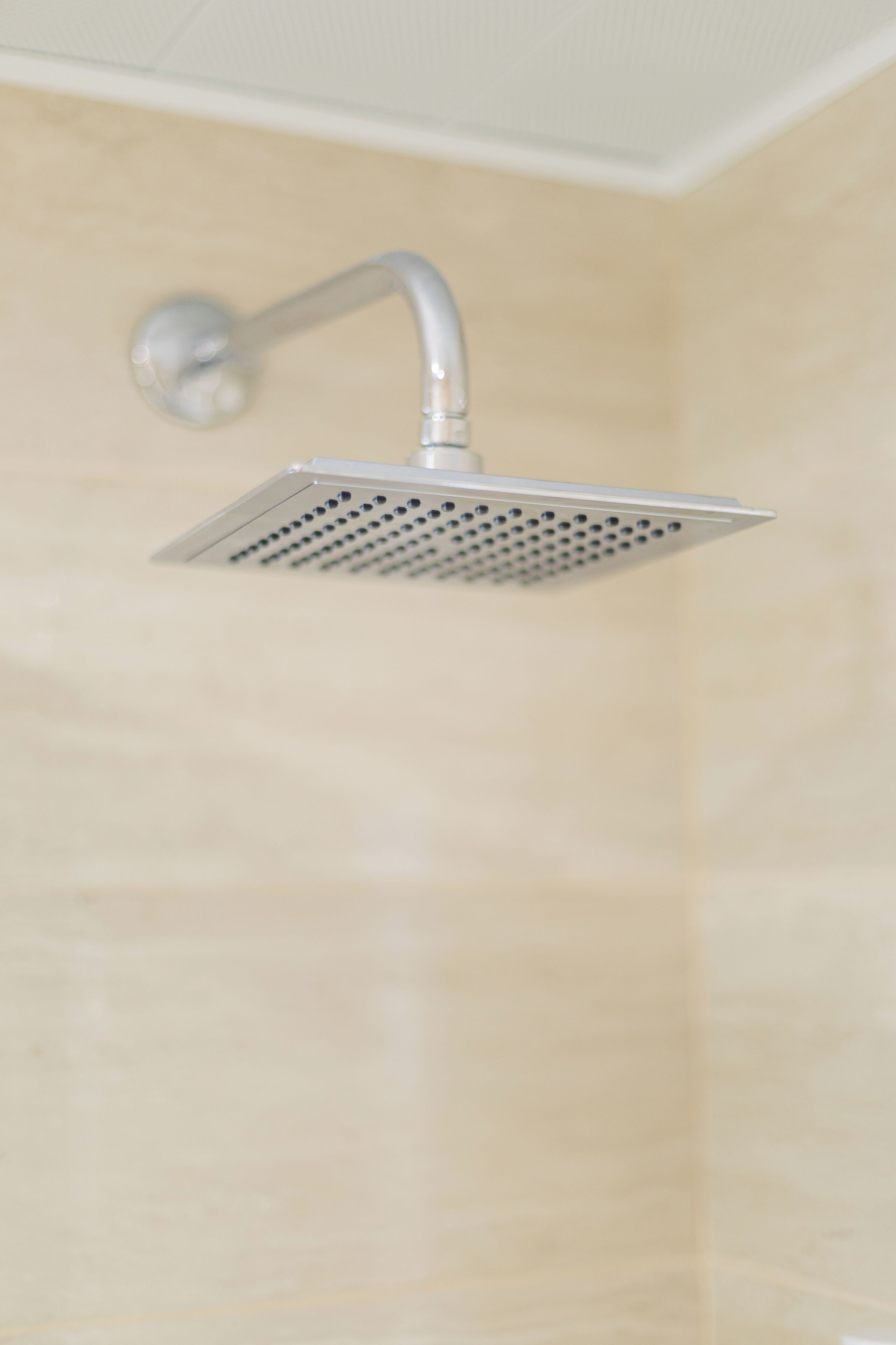 A showerhead with a curved design, mounted on a wall with a textured surface.