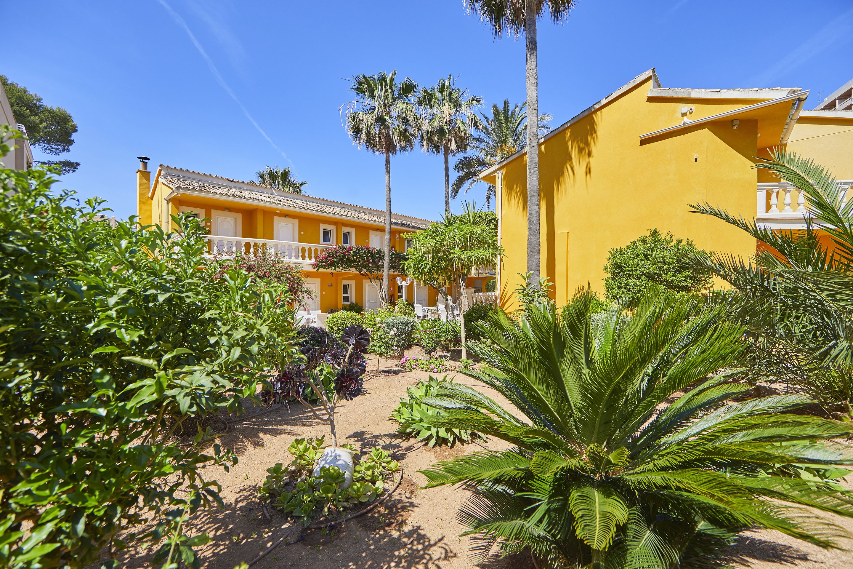 A yellow building with a balcony, surrounded by various plants and palm trees.