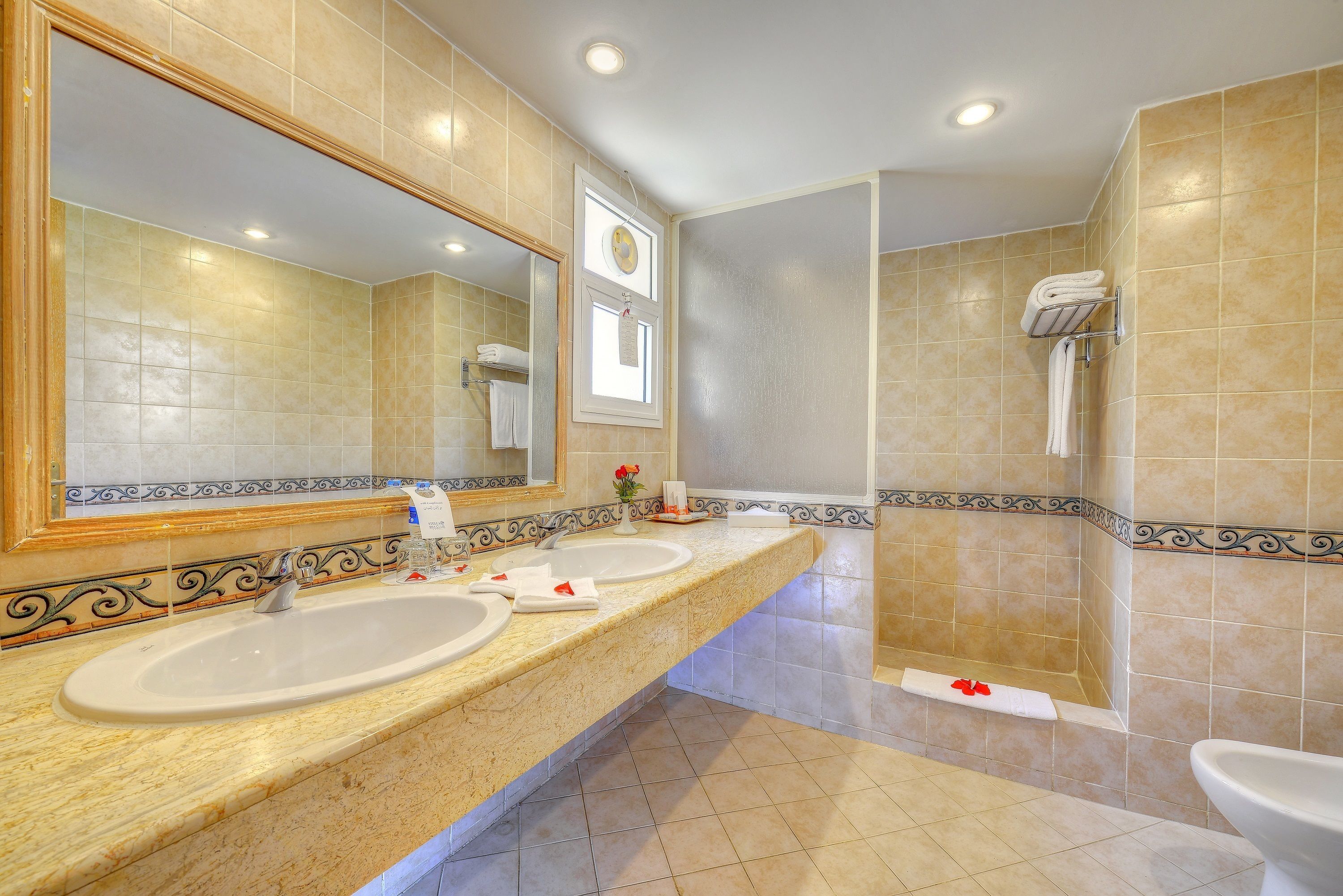 shower, free toiletries, hair dryer, bidet