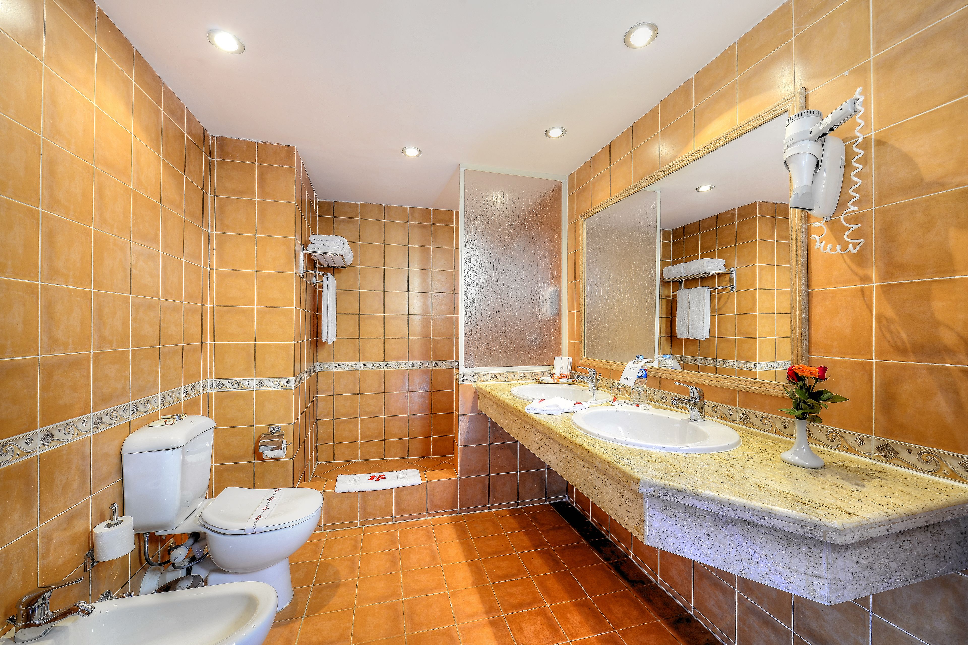 shower, free toiletries, hair dryer, bidet