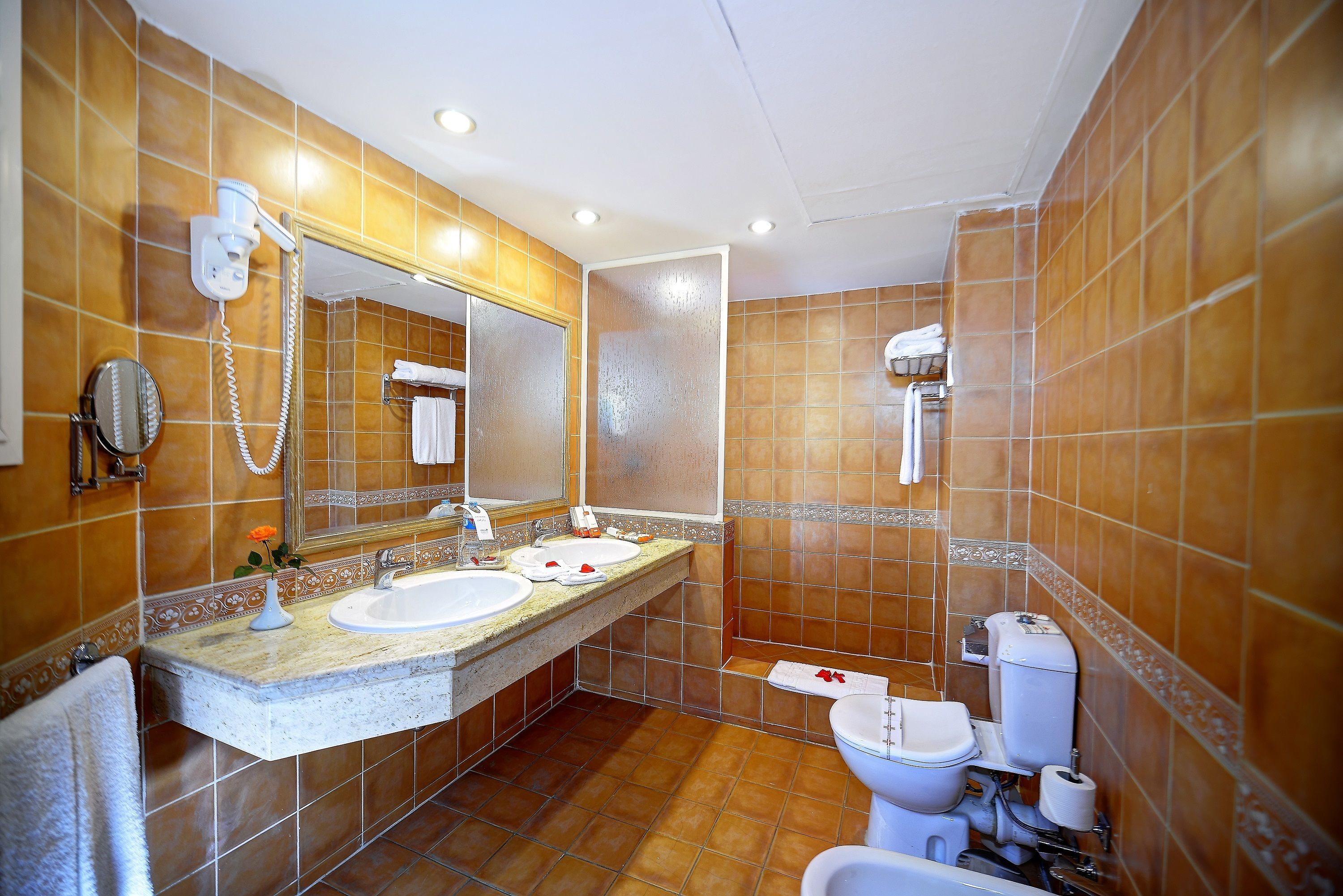 A bathroom with two sinks, a mirror, a hairdryer, and a toilet.