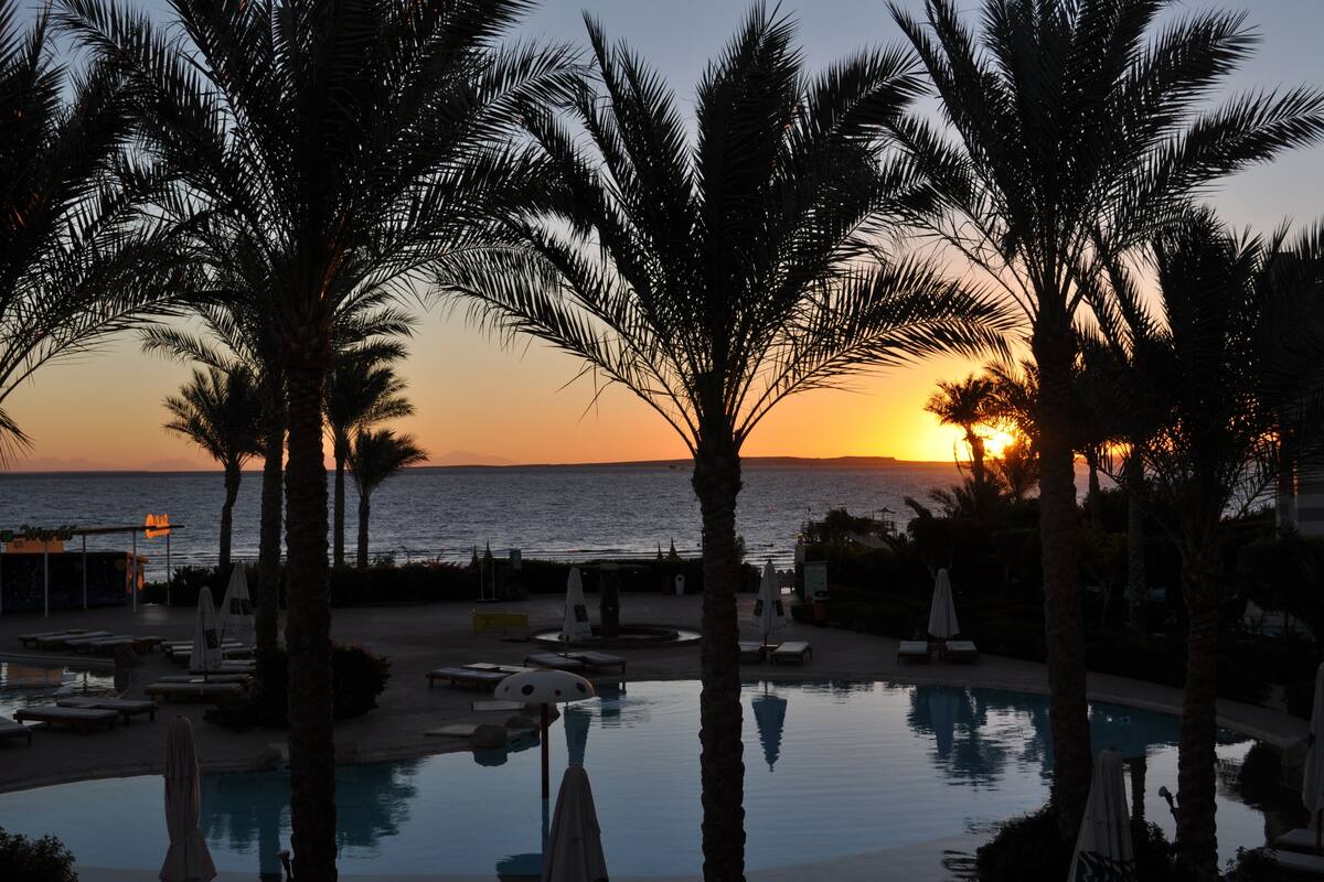 Un espace piscine aménagé dans un complexe hôtelier, avec des palmiers, des chaises longues et des parasols, offrant une vue sur l’océan au coucher du soleil.