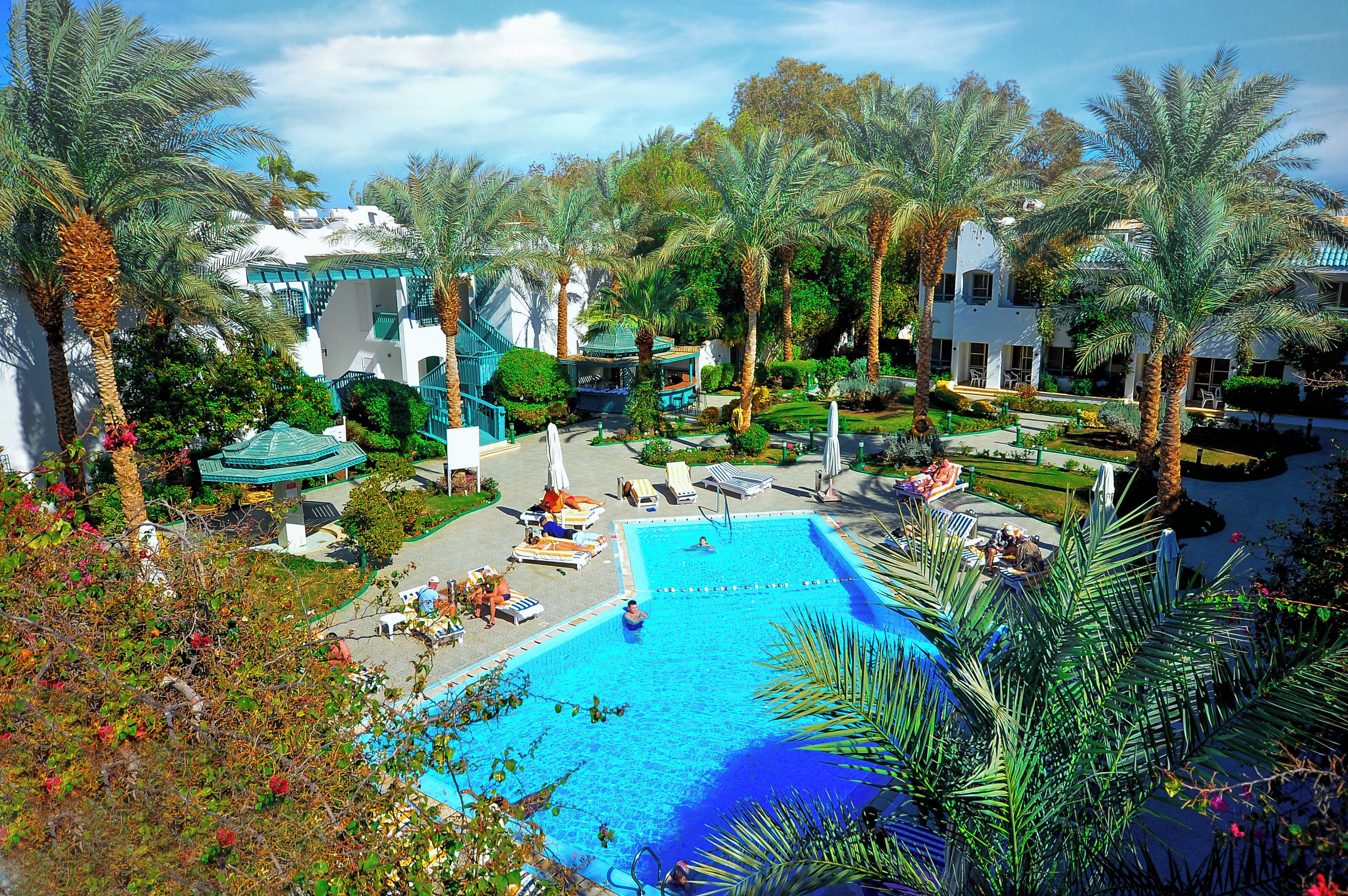 A swimming pool surrounded by palm trees and lounge chairs, with a building in the background.