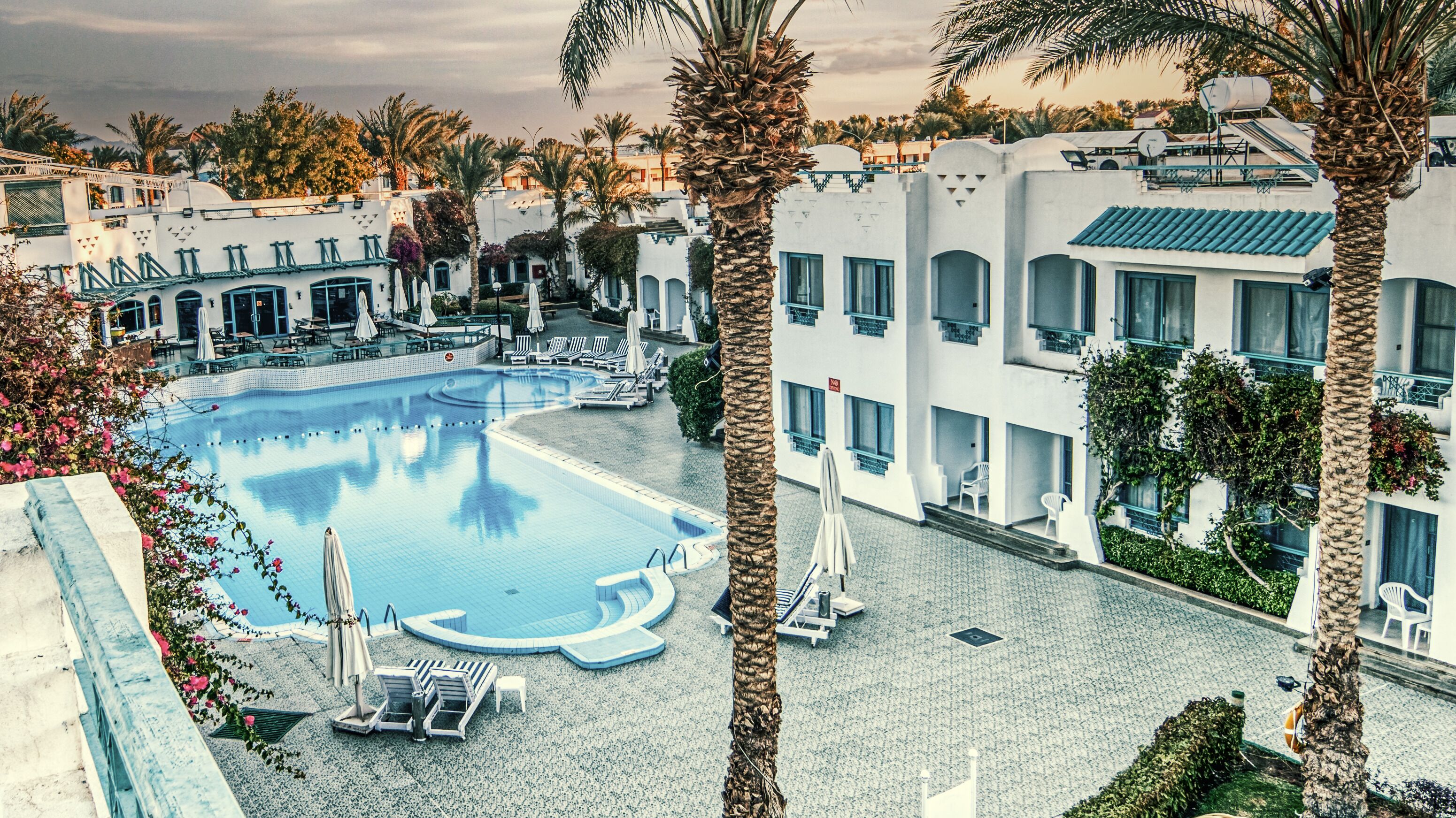 A pool area with lounge chairs and umbrellas, surrounded by palm trees and a building with a white facade and blue accents.