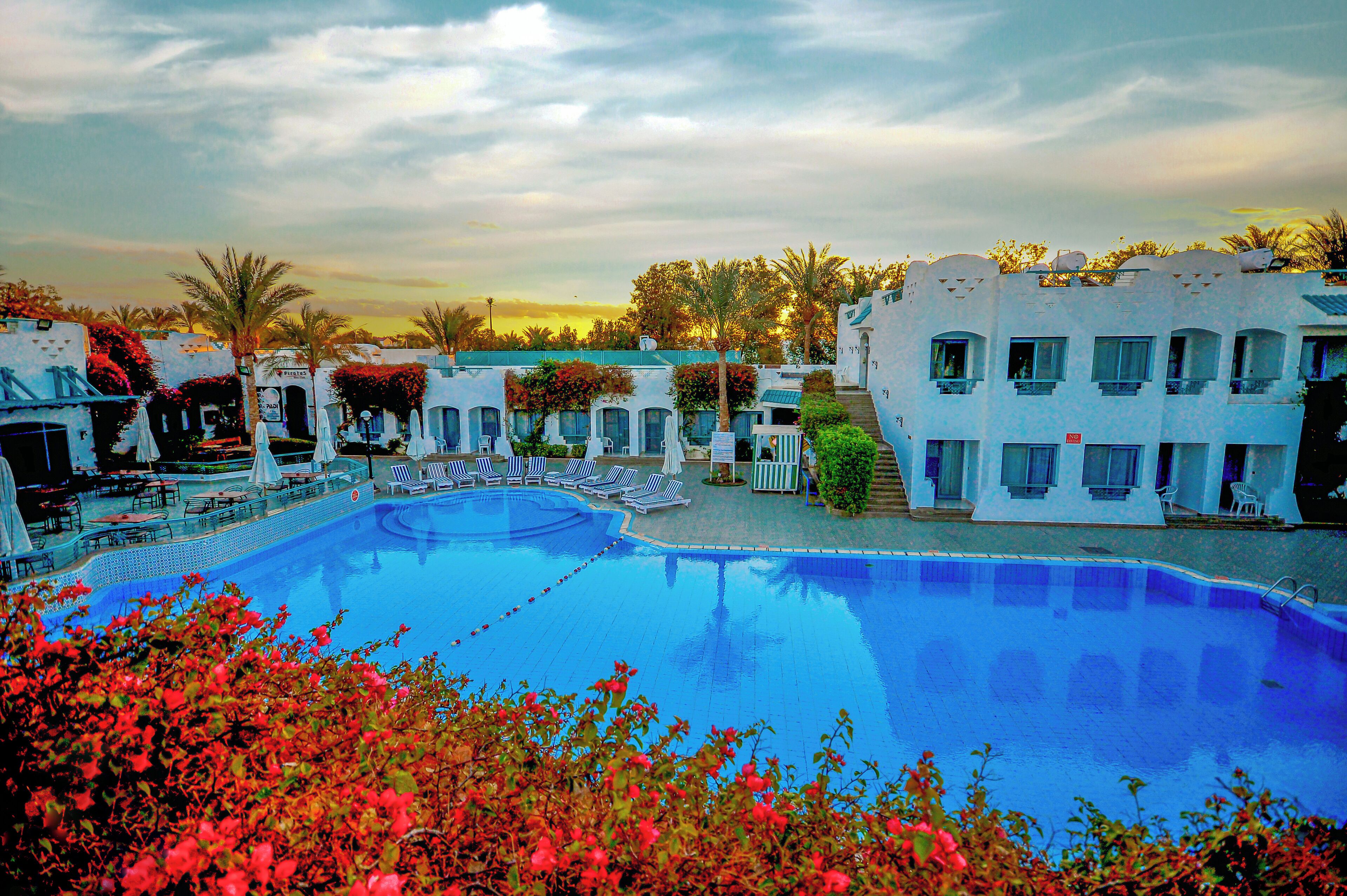 A swimming pool surrounded by white buildings with balconies, palm trees, and red flowers in the foreground.
