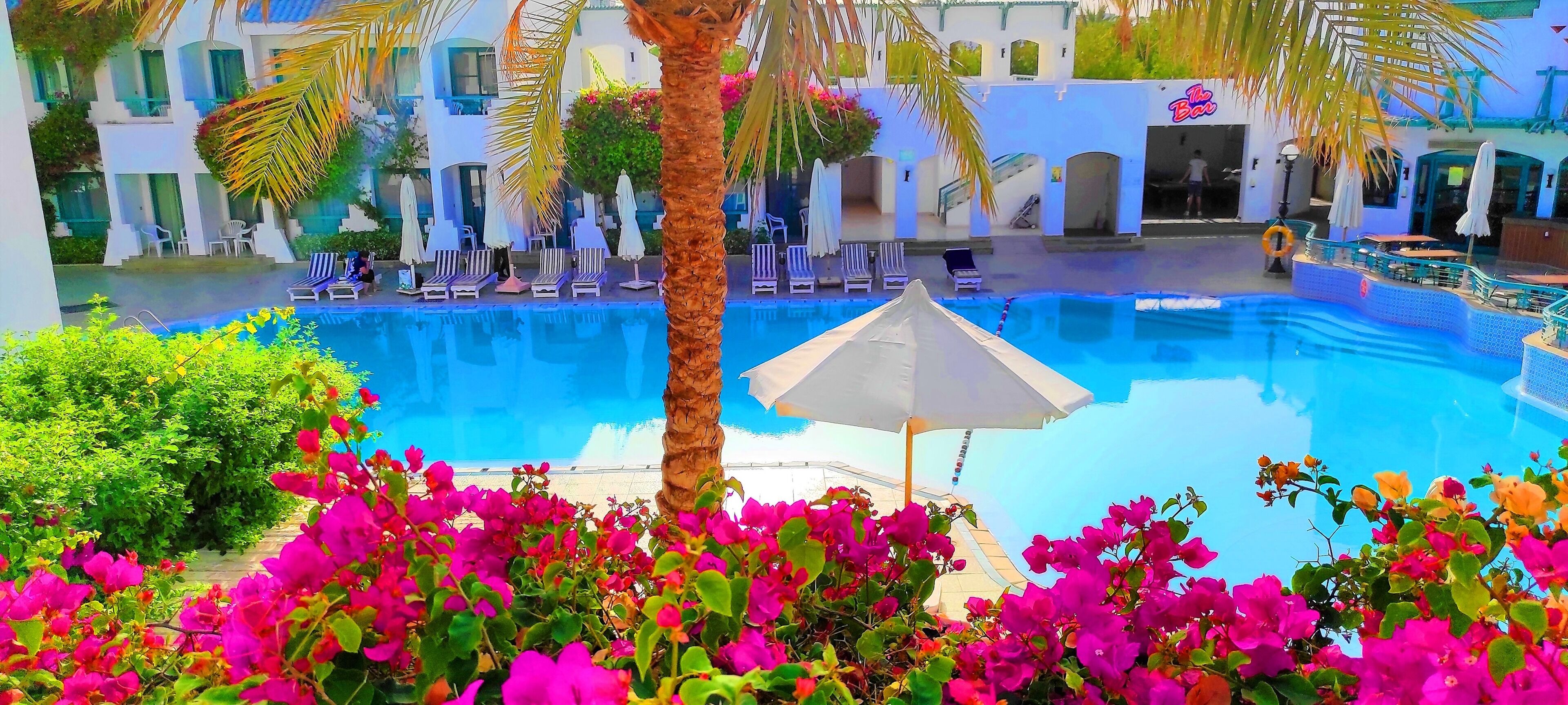 Foto - Falcon Hills Hotel