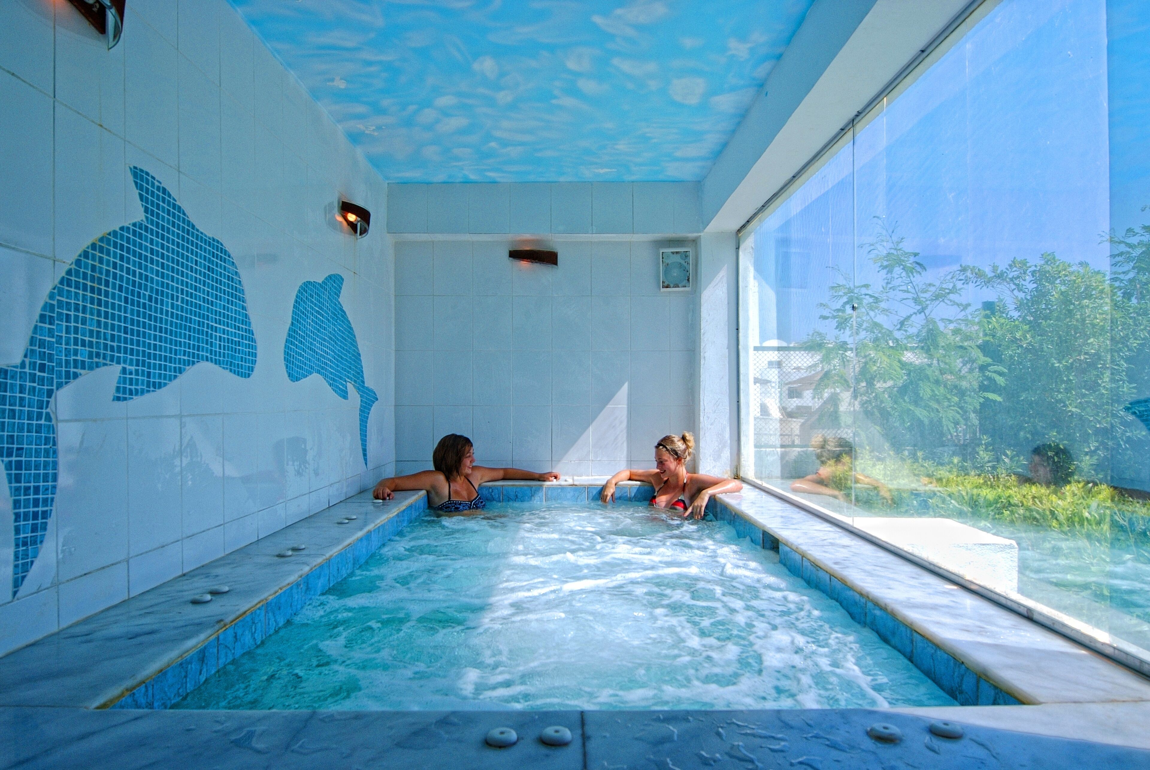 Une piscine ornée de mosaïques représentant des dauphins, une vue sur la verdure et un ciel dégagé.