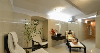 Hotel Arte