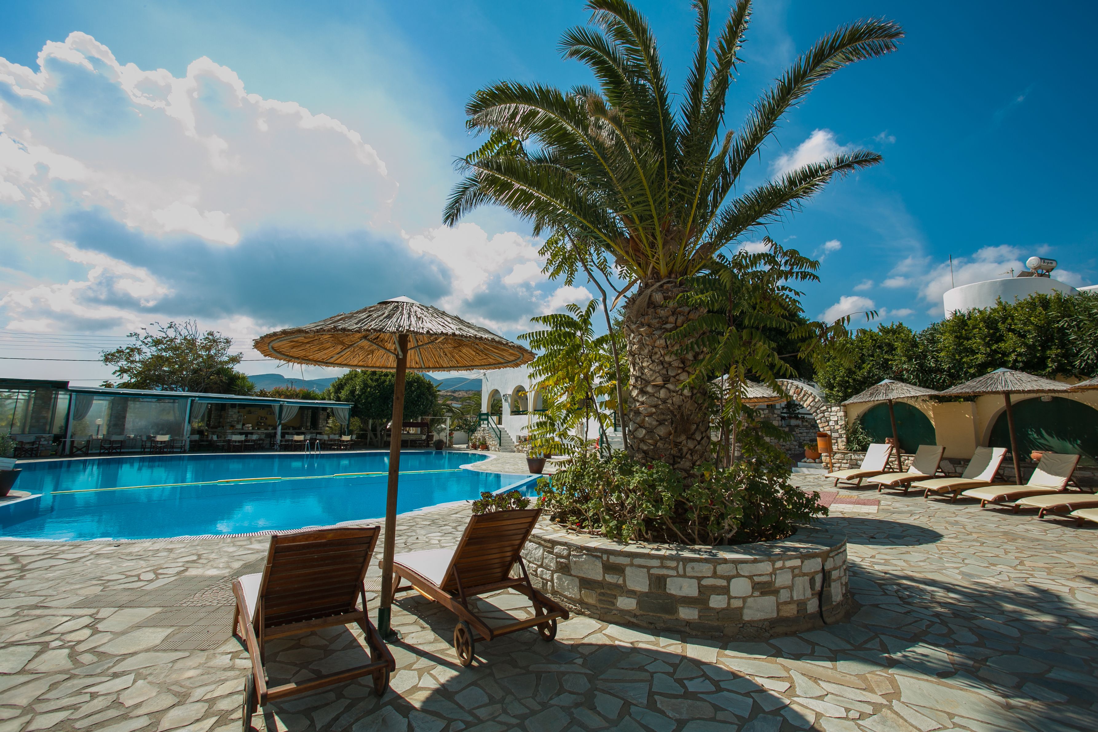 Área de piscina com espreguiçadeiras, guarda-sóis e uma palmeira.