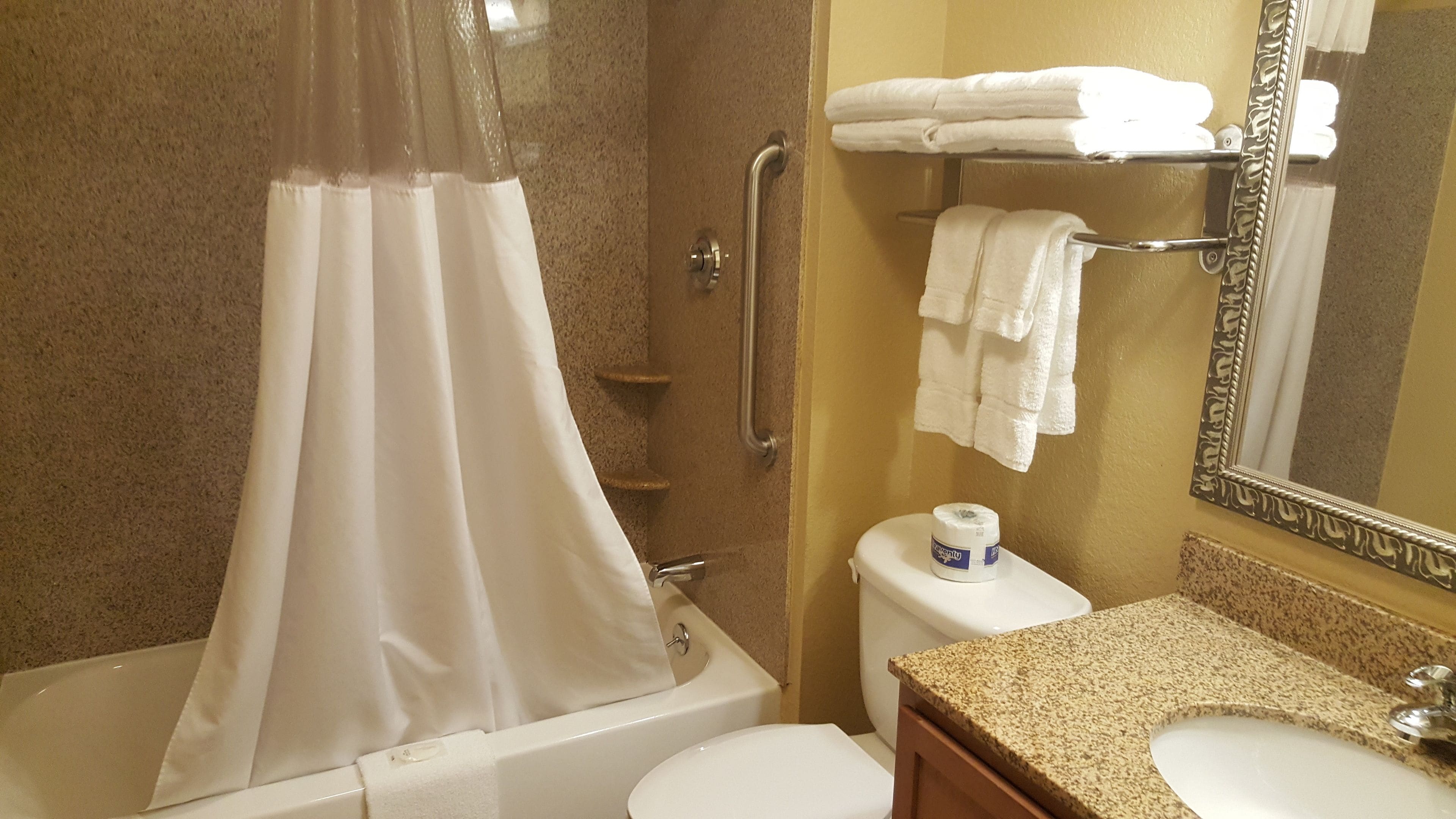 combined shower/bathtub, free toiletries, hair dryer, towels