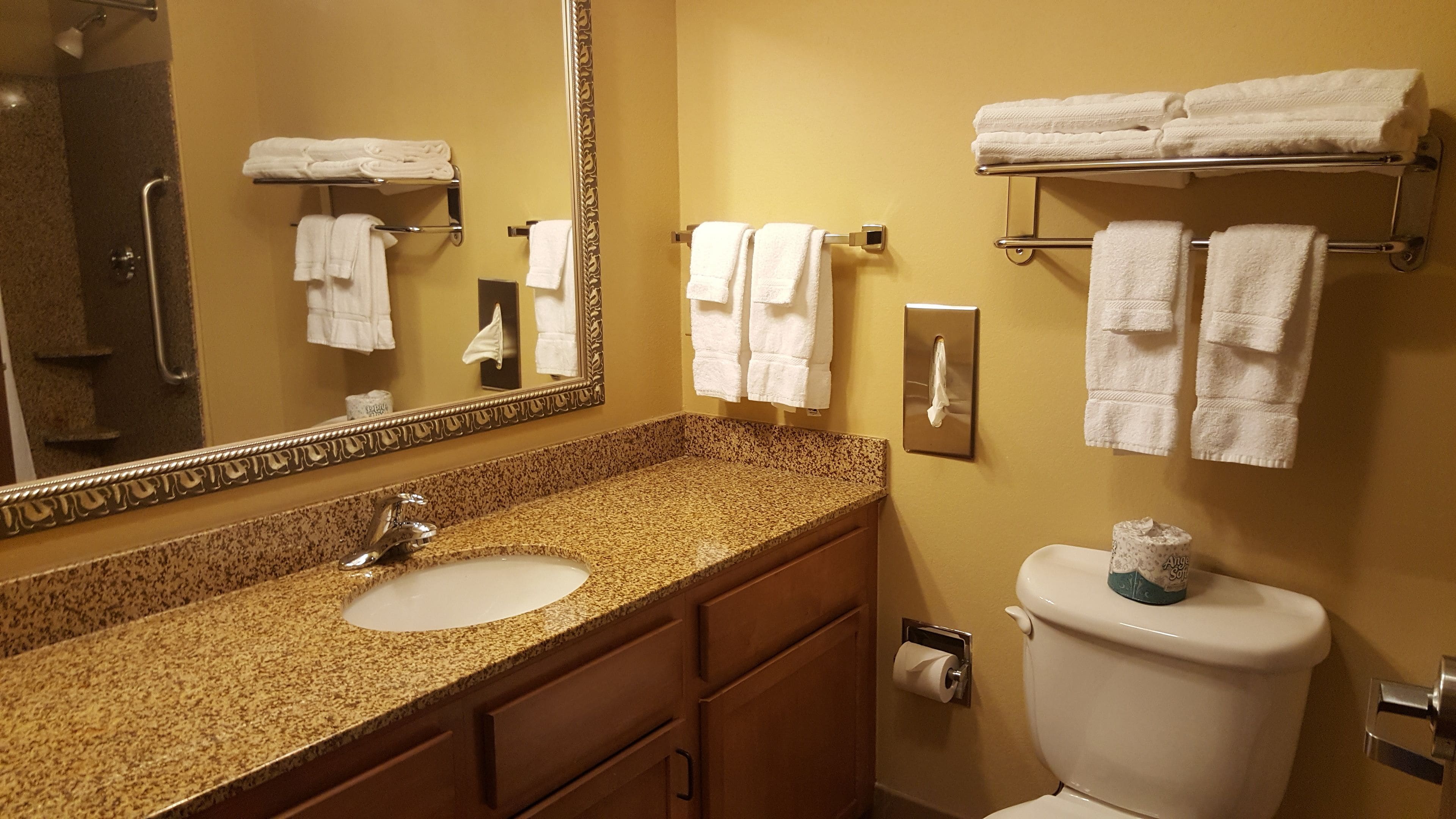 combined shower/bathtub, free toiletries, hair dryer, towels