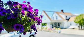 Blue Spruce Motel & Townhouses