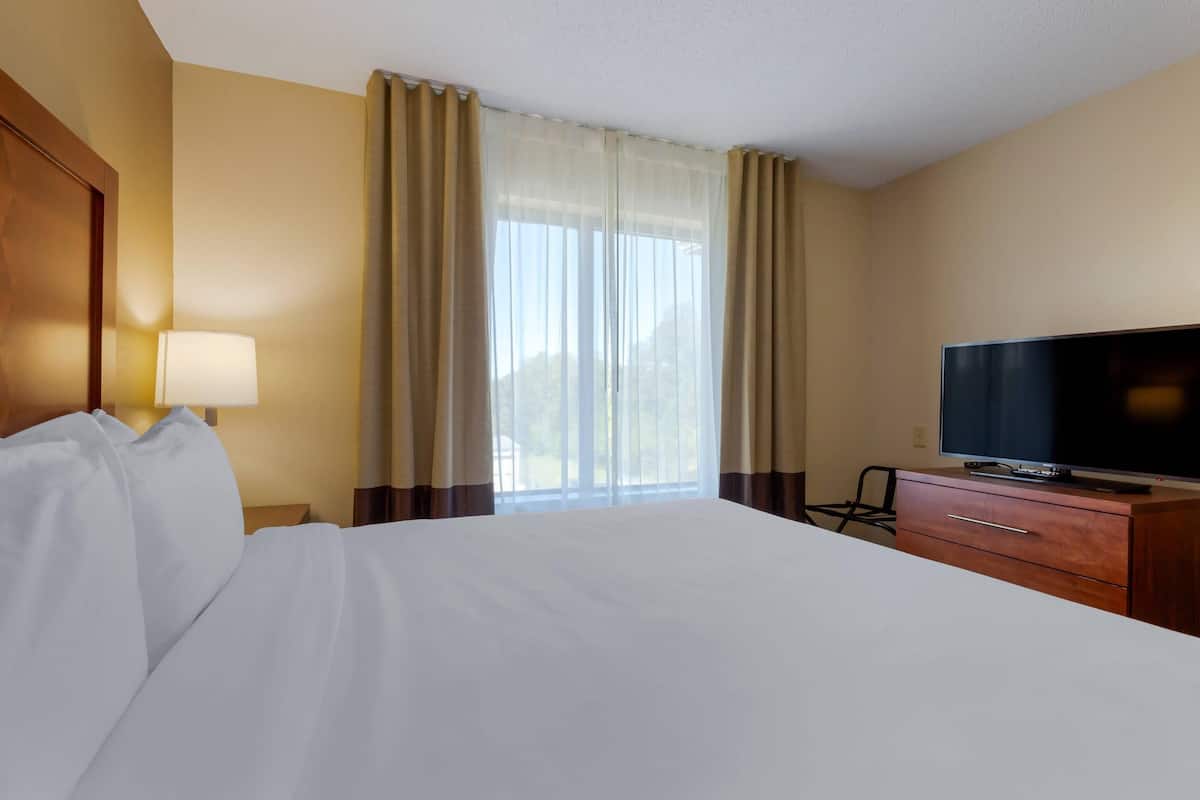 Suite, 1 King Bed with Sofa bed, Non Smoking | Desk, blackout drapes, iron/ironing board, free WiFi