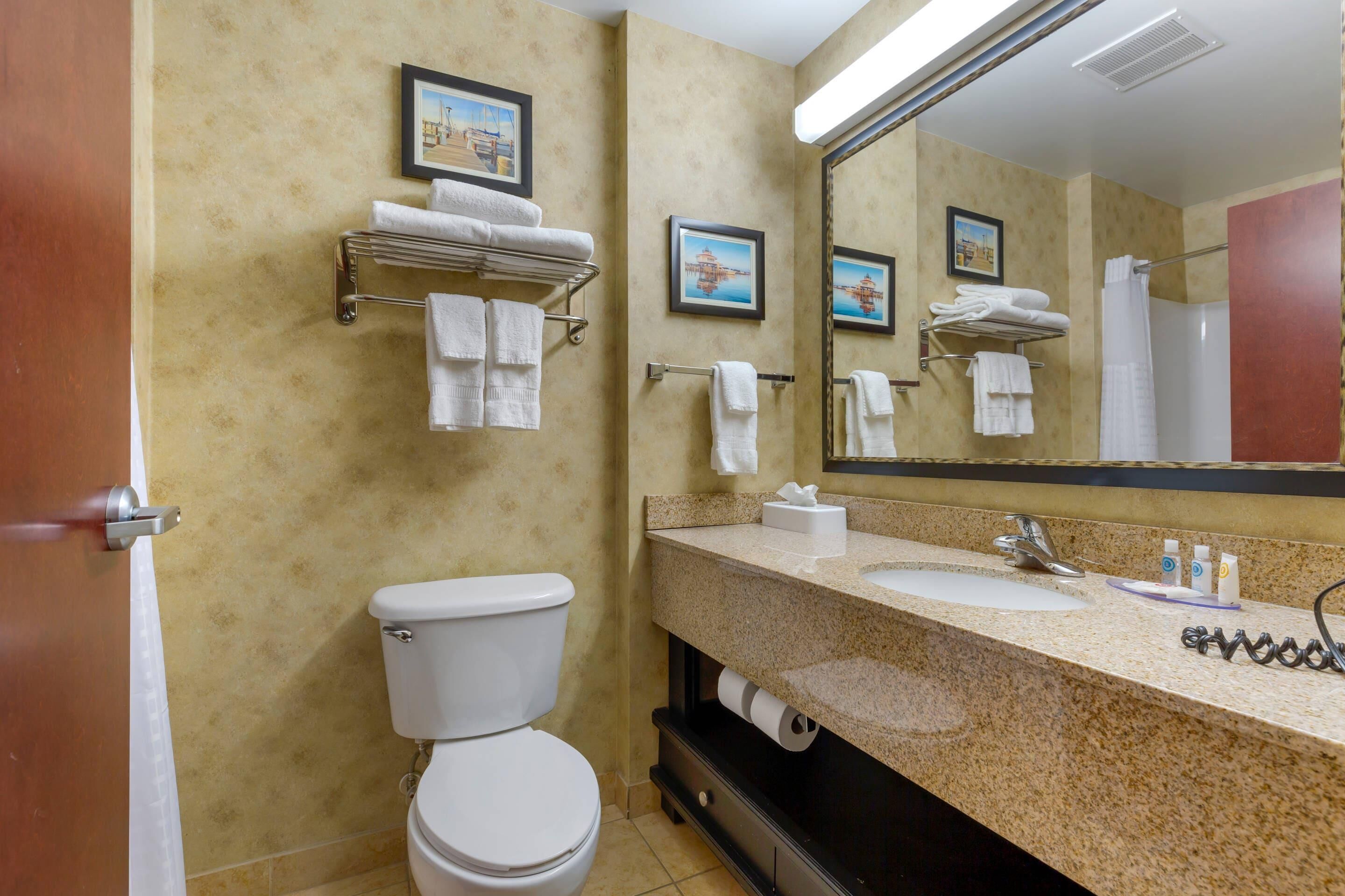 Un baño con inodoro, lavamanos, perchero para toallas y un espejo grande.