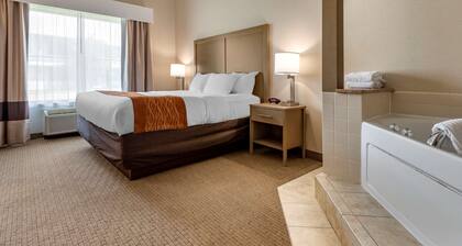 Comfort Inn & Suites Farmington - Victor