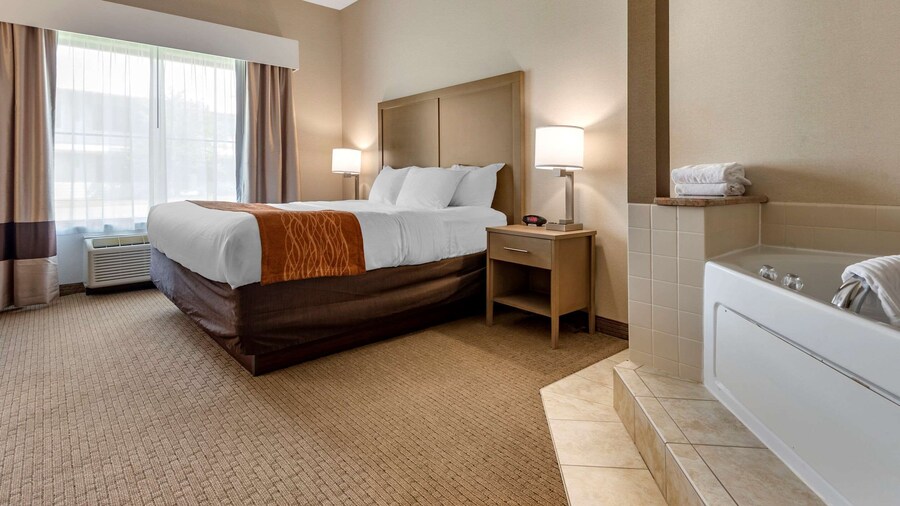 Comfort Inn & Suites Farmington - Victor