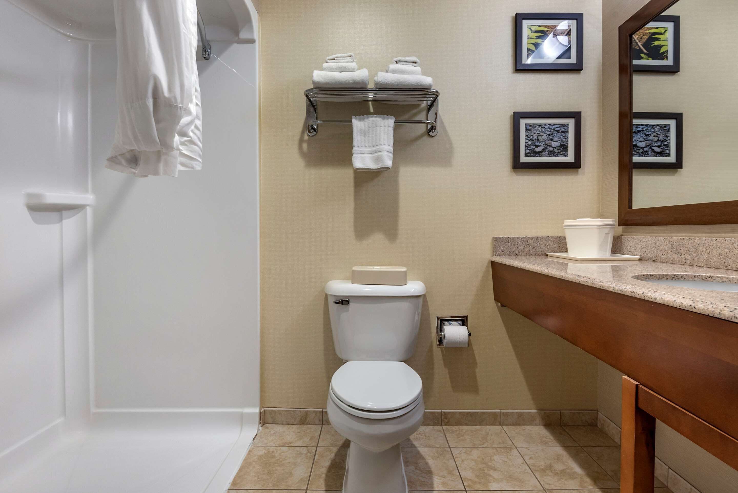 room, 1 king bed, accessible, non smoking | bathroom | free toiletries, hair dryer, towels