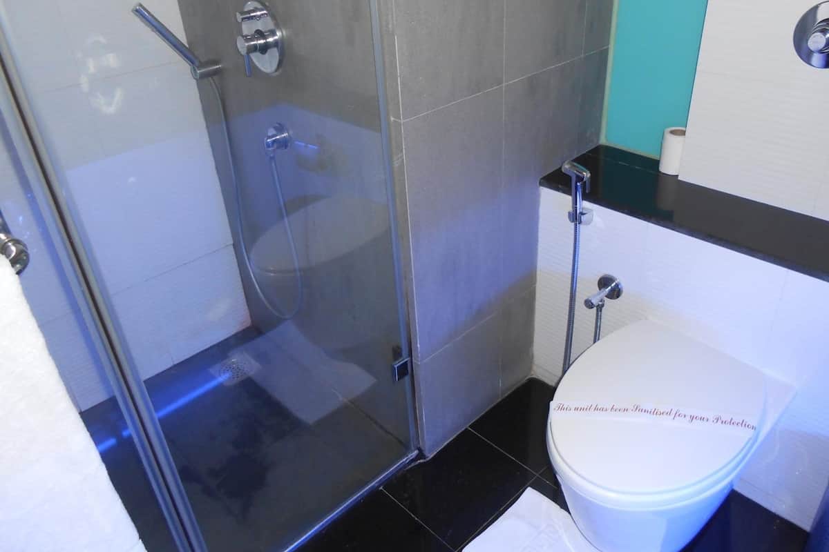 Shower, free toiletries, hair dryer, towels