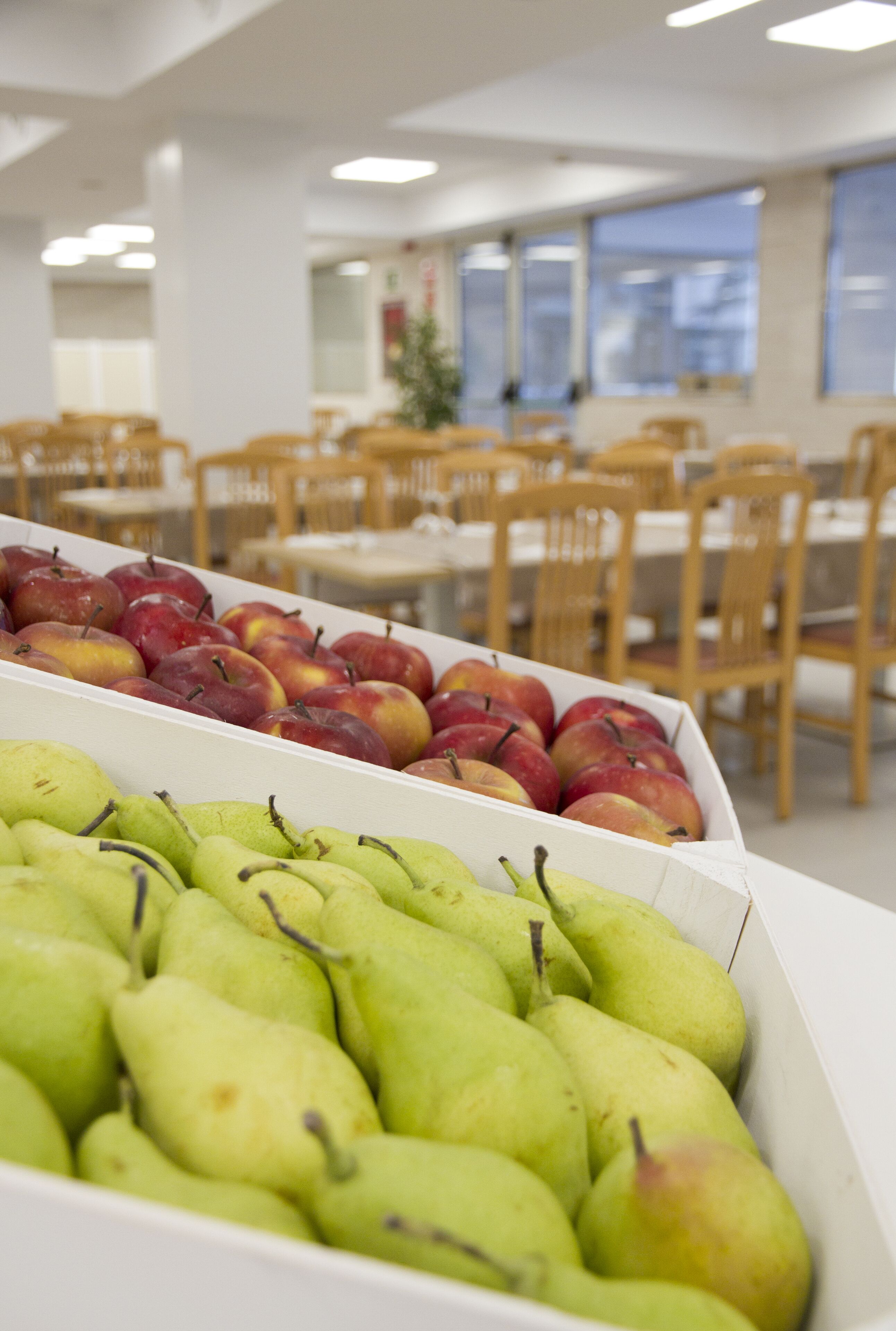 Foto - ALEGRIA Fenals Mar