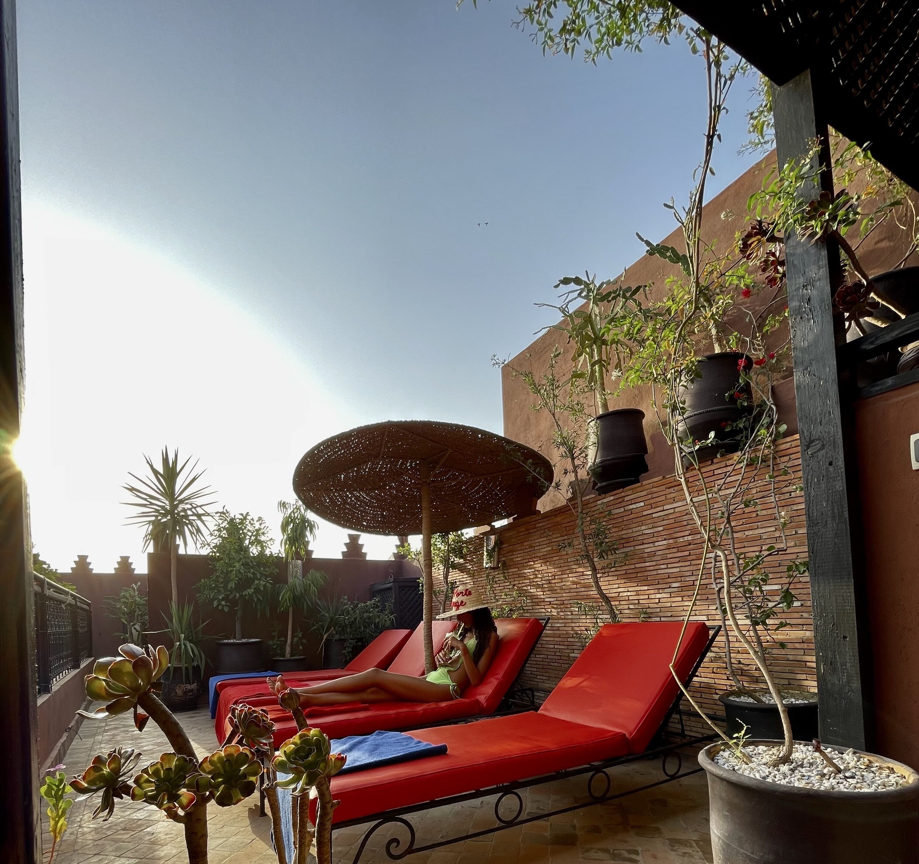A sunlit outdoor lounge area with red cushioned chairs and a large umbrella, surrounded by potted plants and a brick wall.