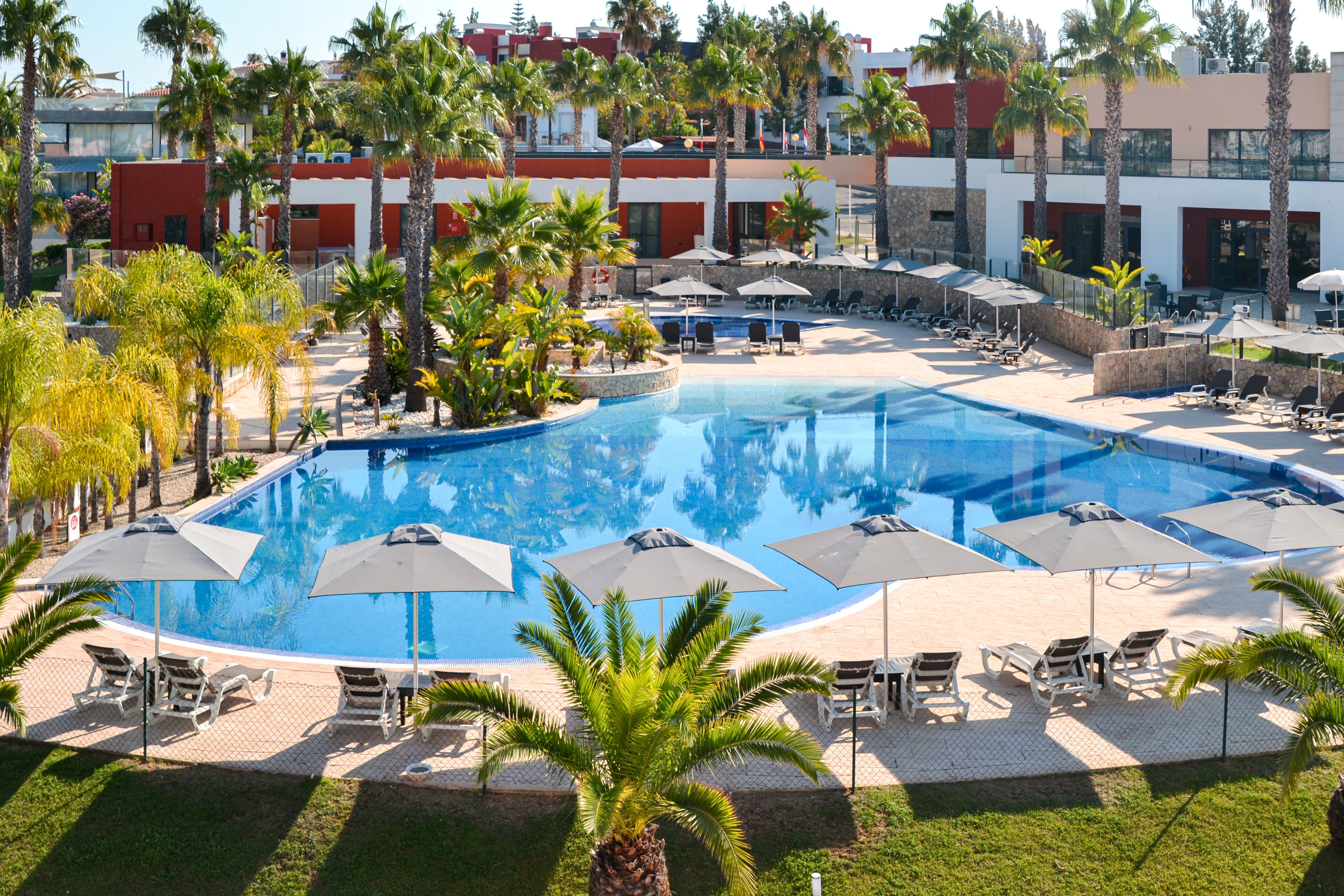 A swimming pool with lounge chairs and umbrellas, surrounded by palm trees and a building in the background.