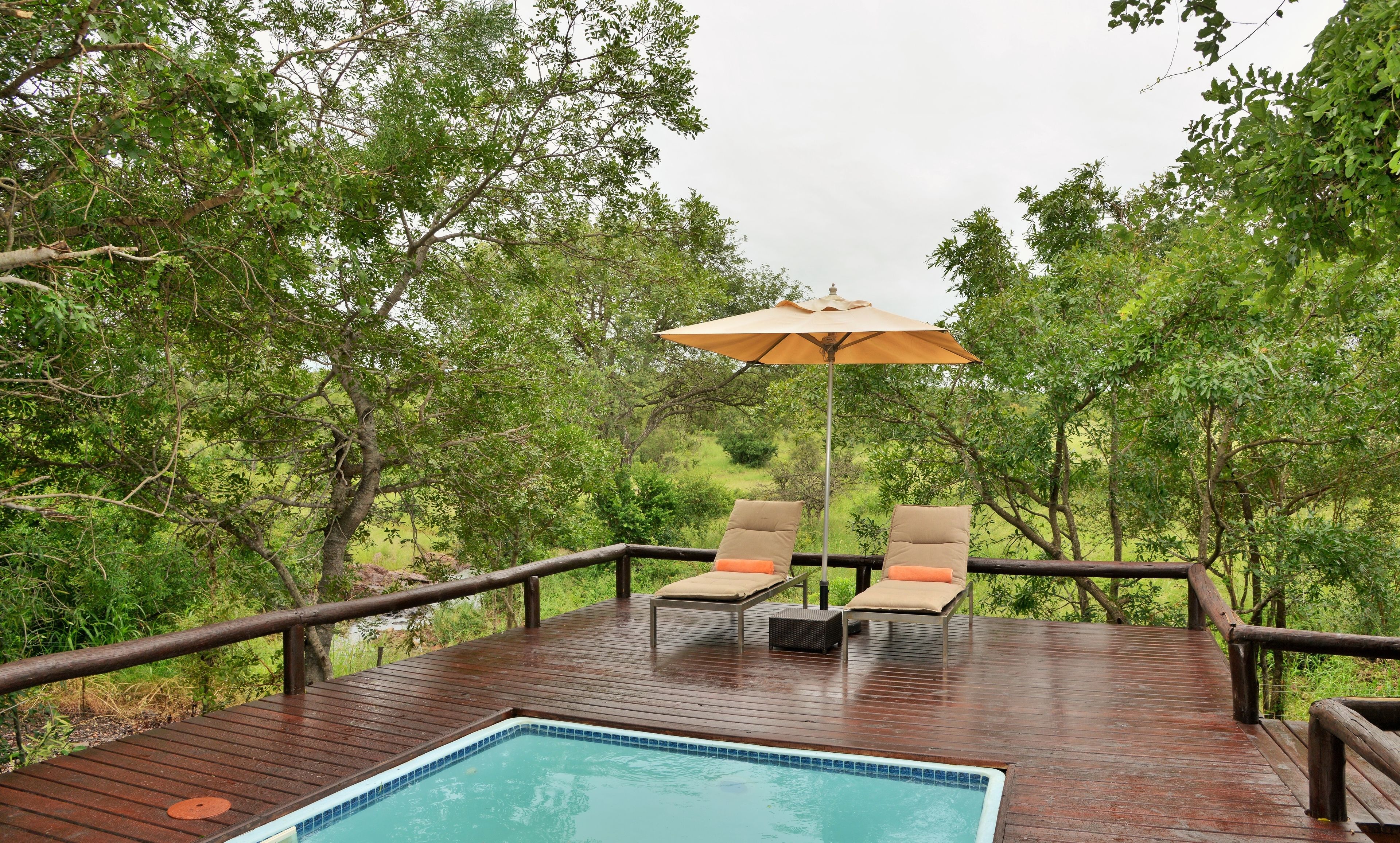 outdoor pool, pool loungers