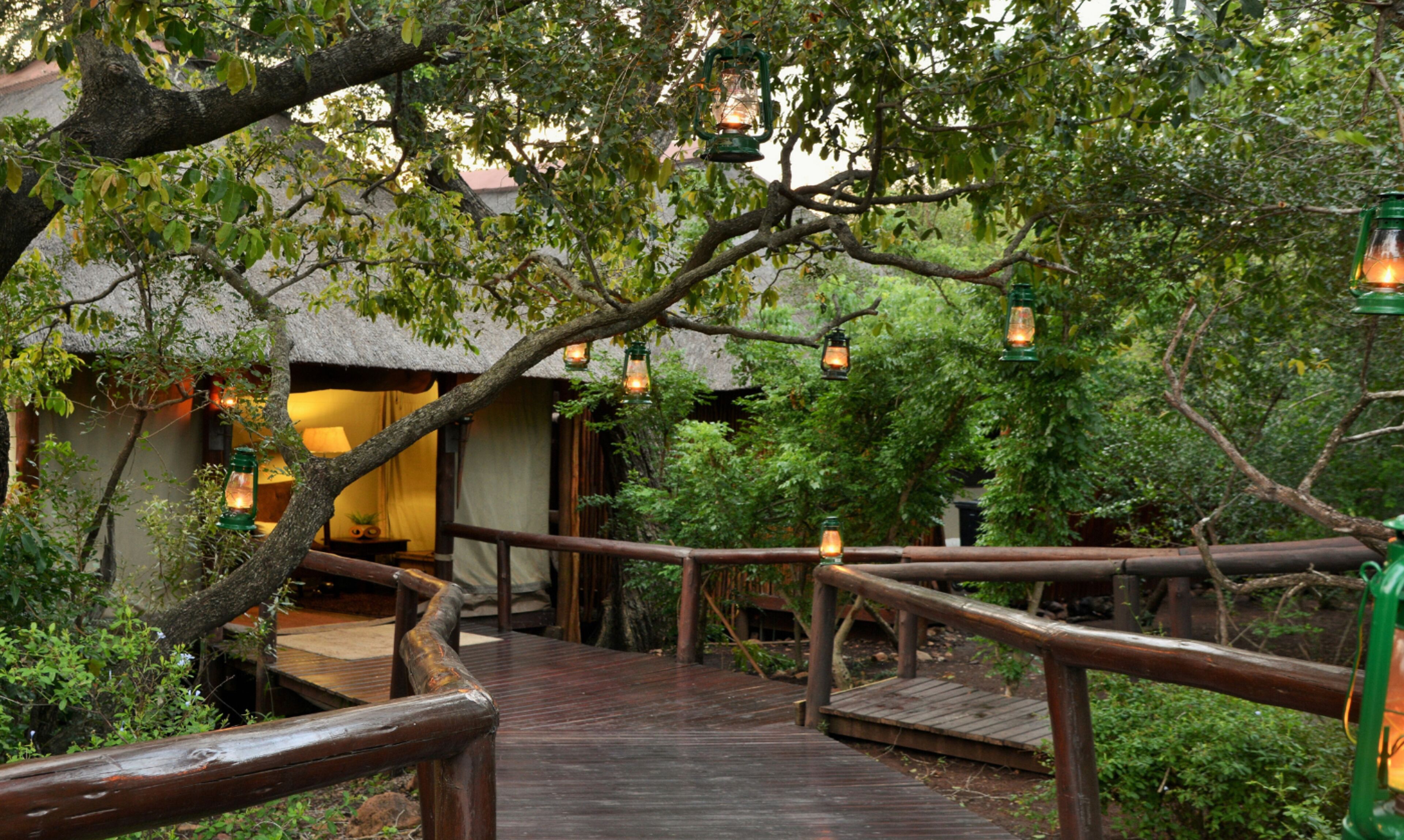 camp shonga  | garden view