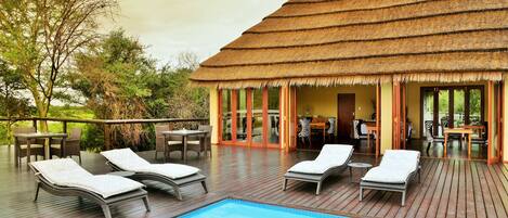 Outdoor pool, sun loungers