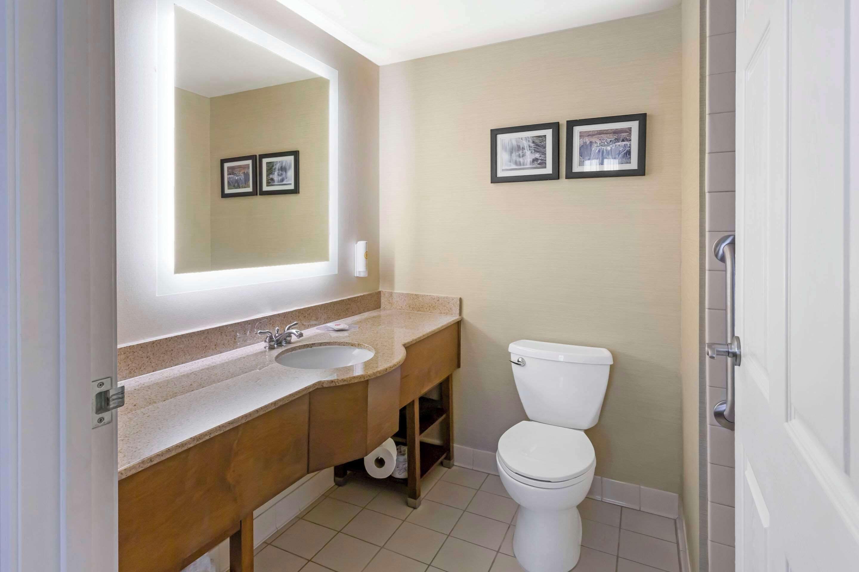 suite, 1 king bed with sofa bed, non smoking, hot tub (non- pet friendly) | in-room safe, desk, laptop workspace, iron/ironing board