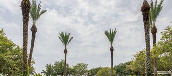 Travelodge by Wyndham Kingsland GA