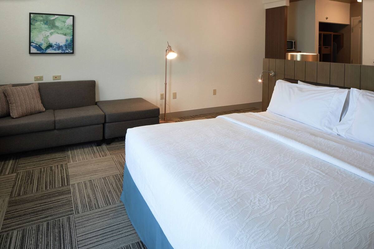 Room, 1 Katil Raja (King), Accessible (Roll-In Shower) | Ruang tamu | TV skrin rata 