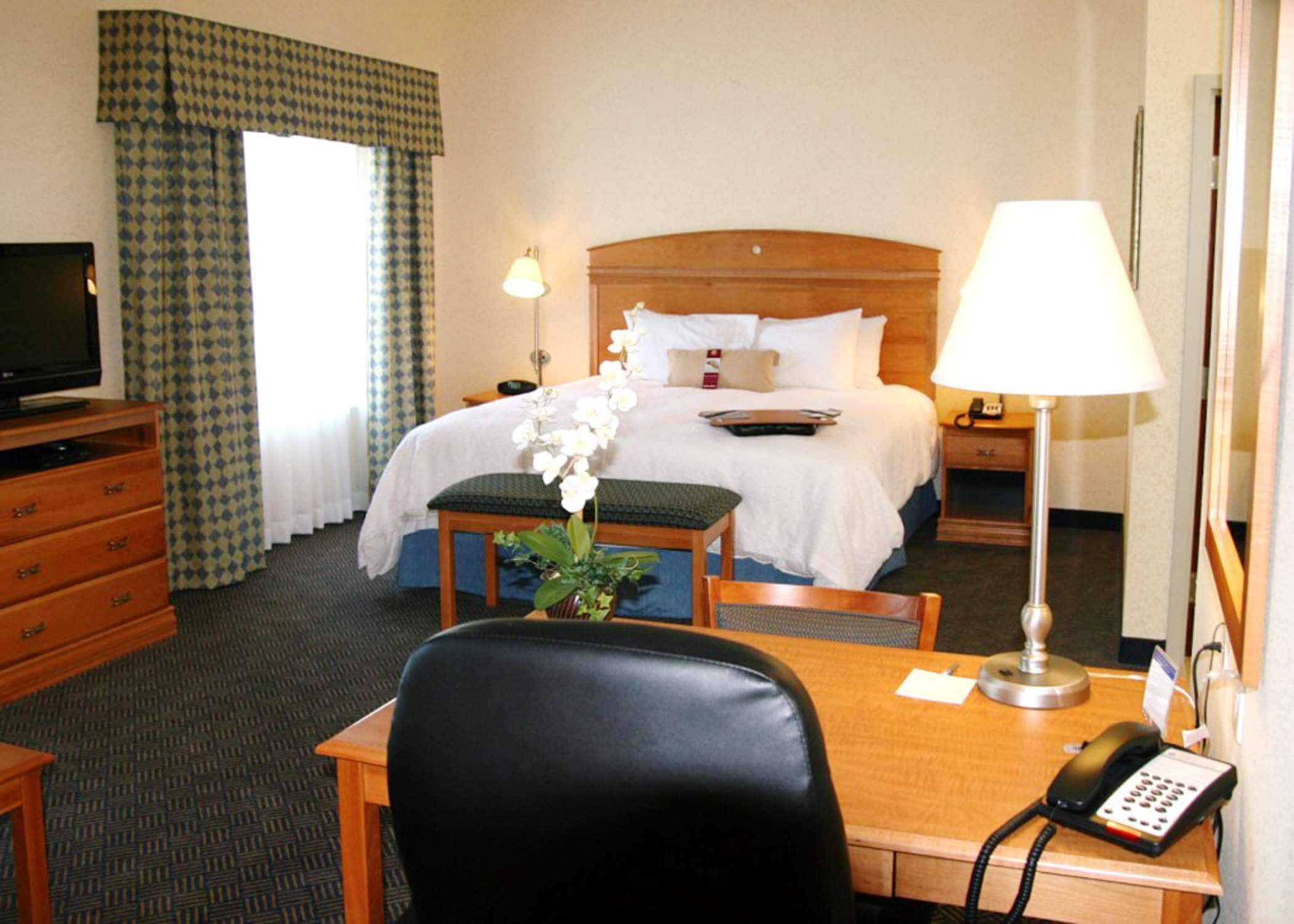 one king studio sofabed non smoking | in-room safe, desk, iron/ironing board, free rollaway beds