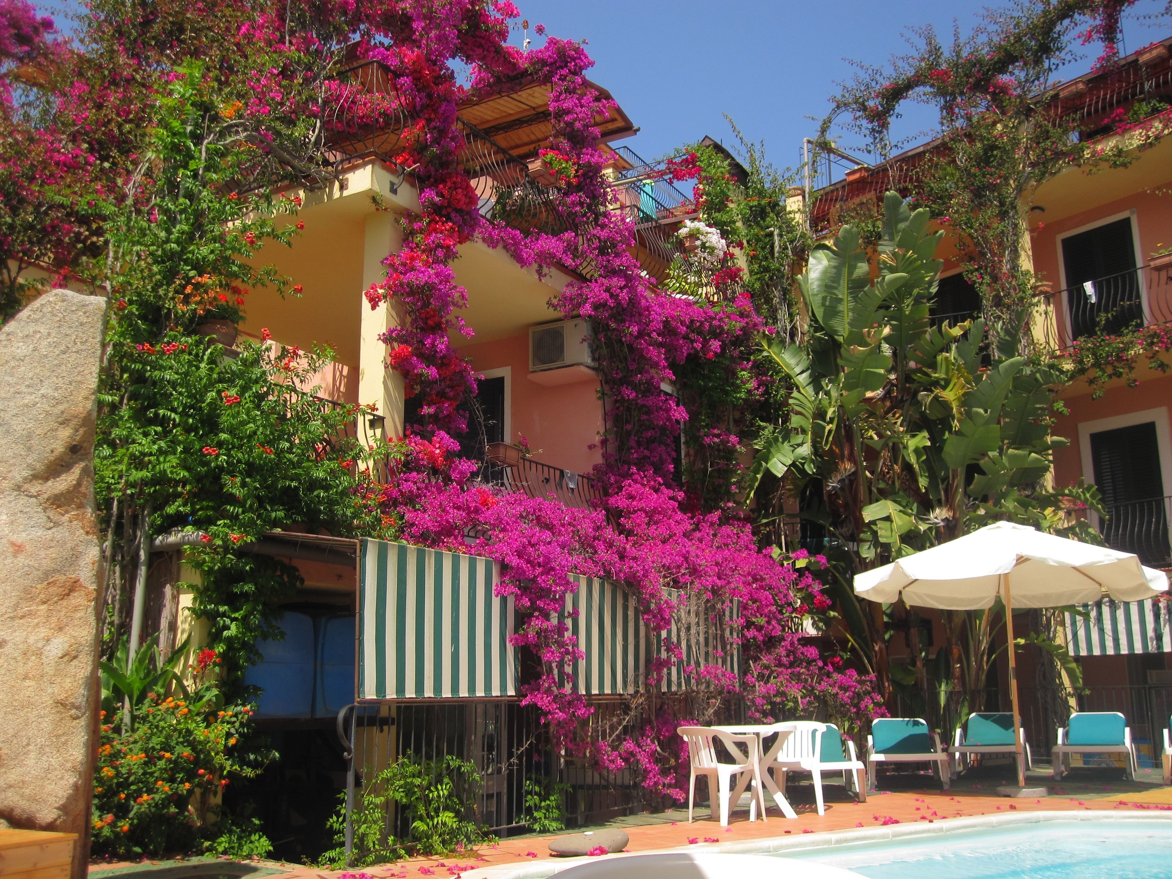 seasonal outdoor pool, pool umbrellas, pool loungers