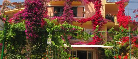 A building with balconies covered in pink bougainvillea, a patio area with white plastic chairs, and a sign indicating a restaurant.