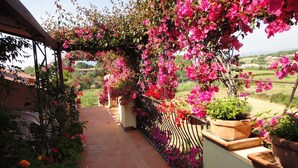 A covered outdoor area with a tiled floor, surrounded by potted plants and flowering vines. - Aparthotel Domus De Janas Sul Mare (Bari Sardo)