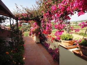 Terrace/patio - Aparthotel Domus De Janas Sul Mare (Bari Sardo)