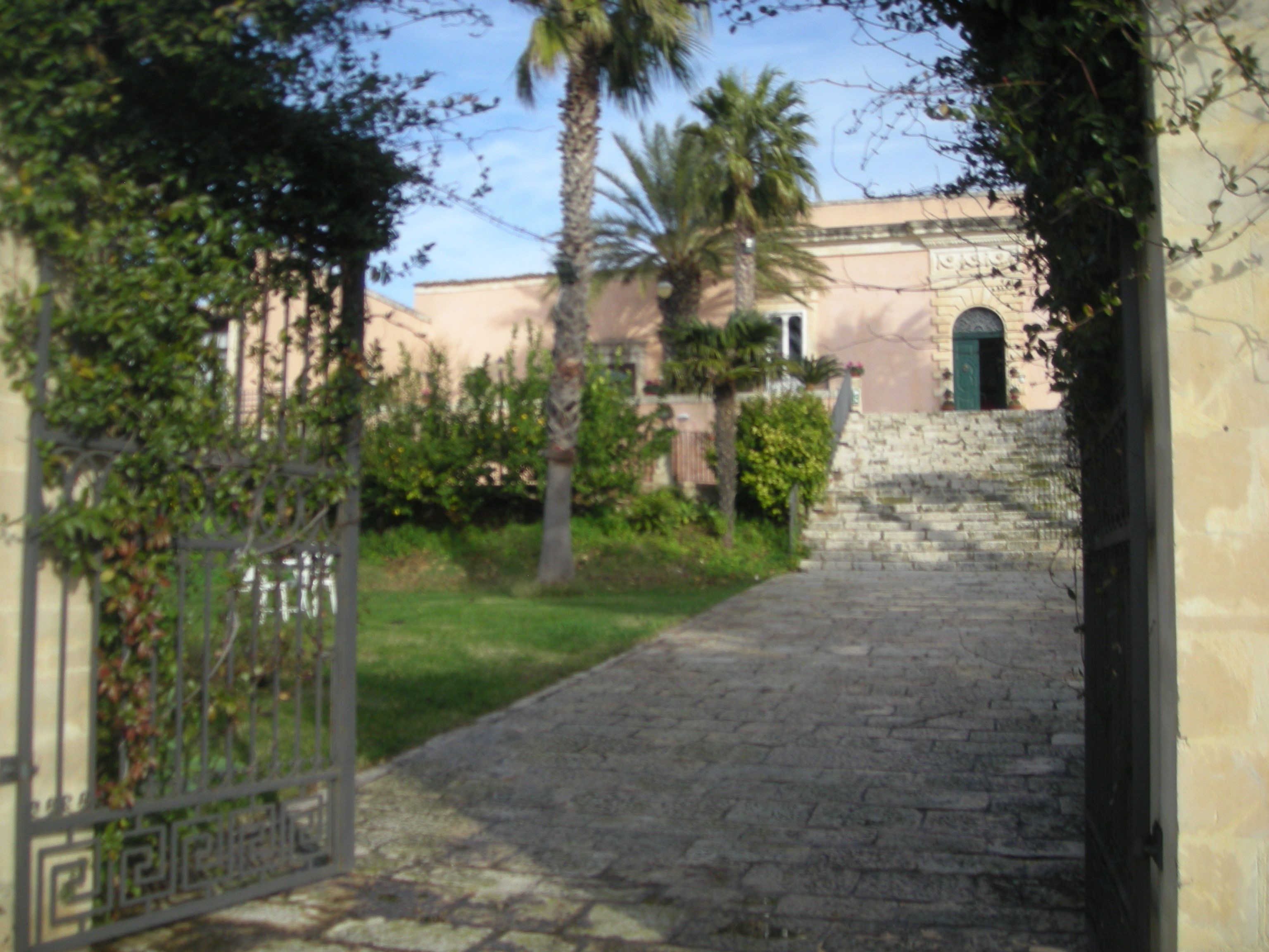 Un sendero de piedra que conduce a un edificio con puerta verde, rodeado de follaje y palmeras.