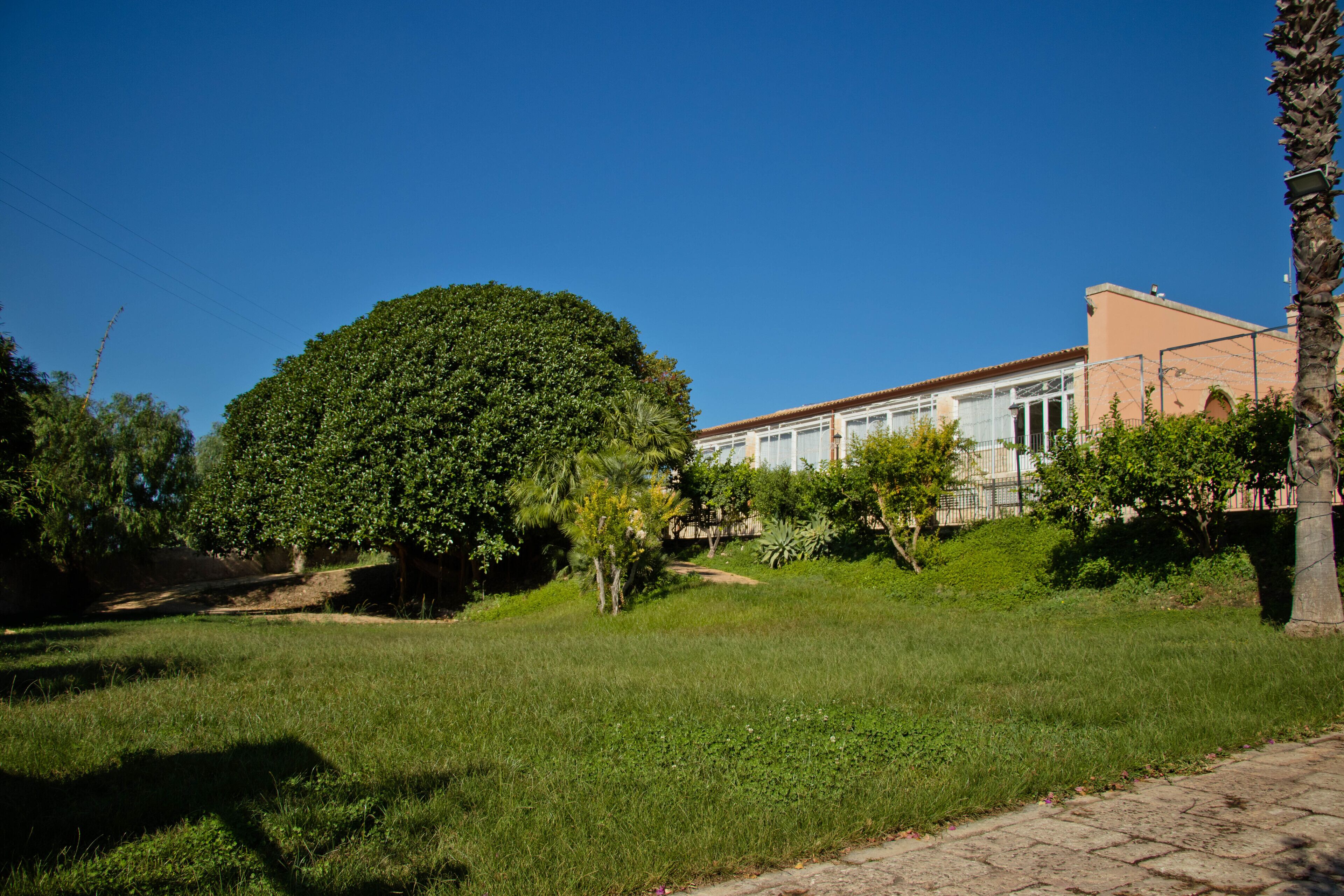 A residential area with a large tree in the foreground, a paved path, and a building with a red roof in the background.