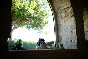 Italian cuisine, garden views