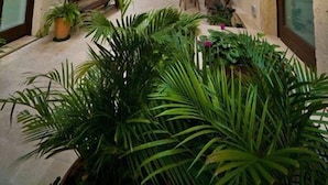 Um pátio estreito com vasos de plantas e bancos, rodeado por edifícios com varandas e grandes janelas.