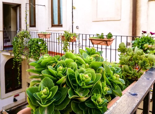 Piccolo Hotel Casa Mia