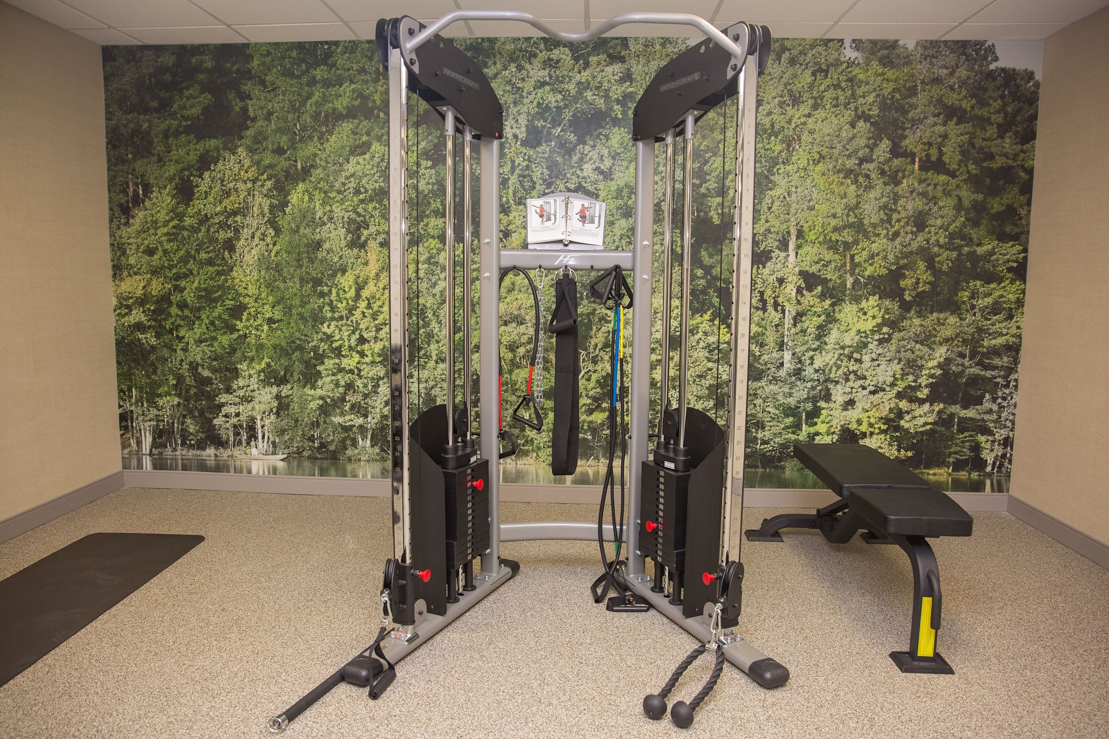Un gimnasio con un mural de un bosque, una banca y equipamiento de ejercicio.