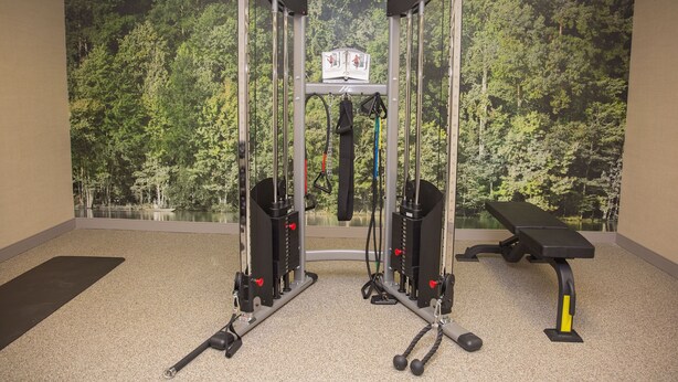A gym with a wall mural of a forest, a bench, and exercise equipment. - Parke Regency Hotel & Conf Ctr (Bloomington)