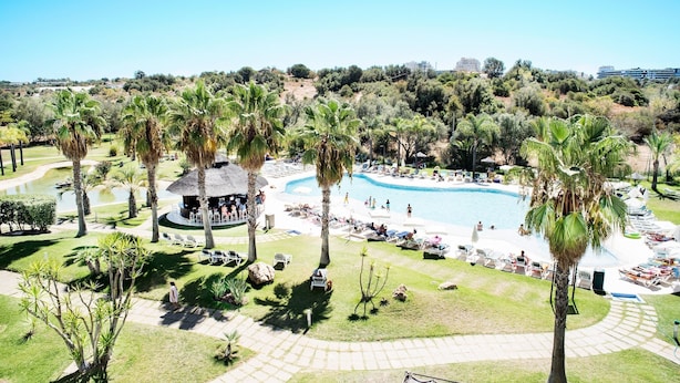 Un resort con piscina rodeada de palmeras y sillones de descanso.