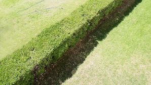 Un campo de golf con un estanque, palmeras y sillones de descanso.