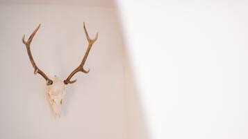 Ein aufgehängtes Hirschschädel mit Geweihen an einer schlichten Wand.