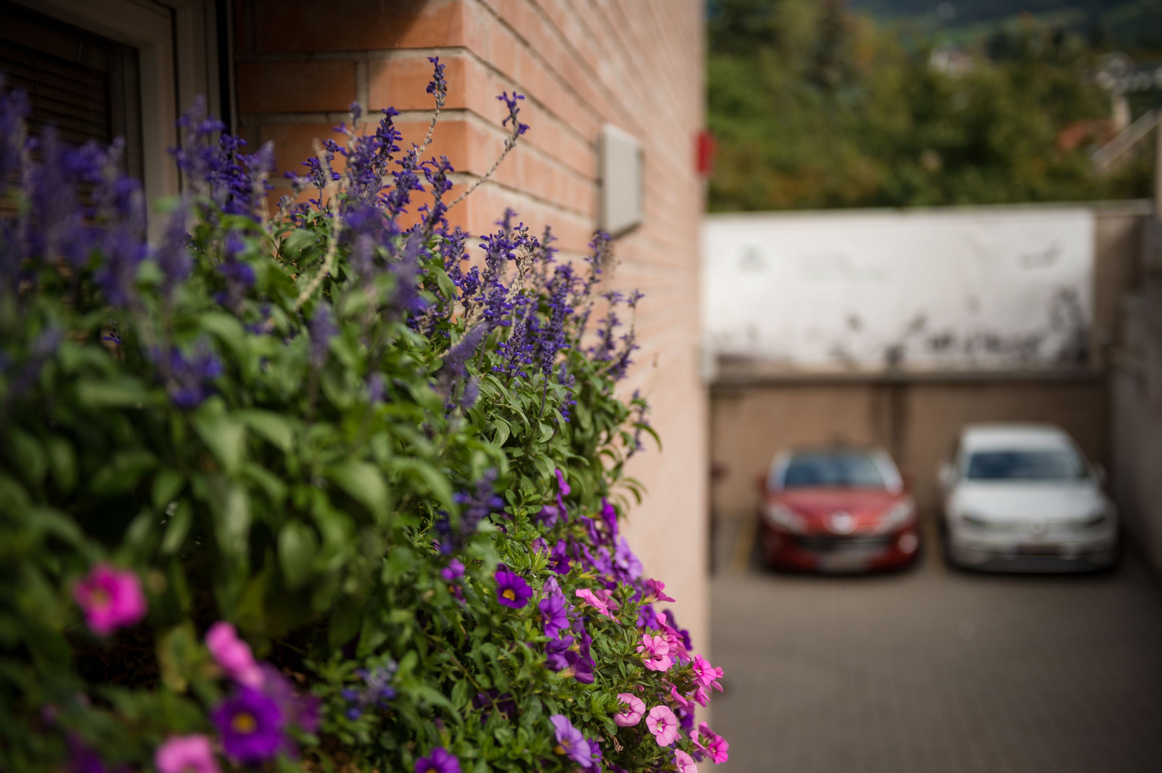 self-parking (surcharge) 15 per night