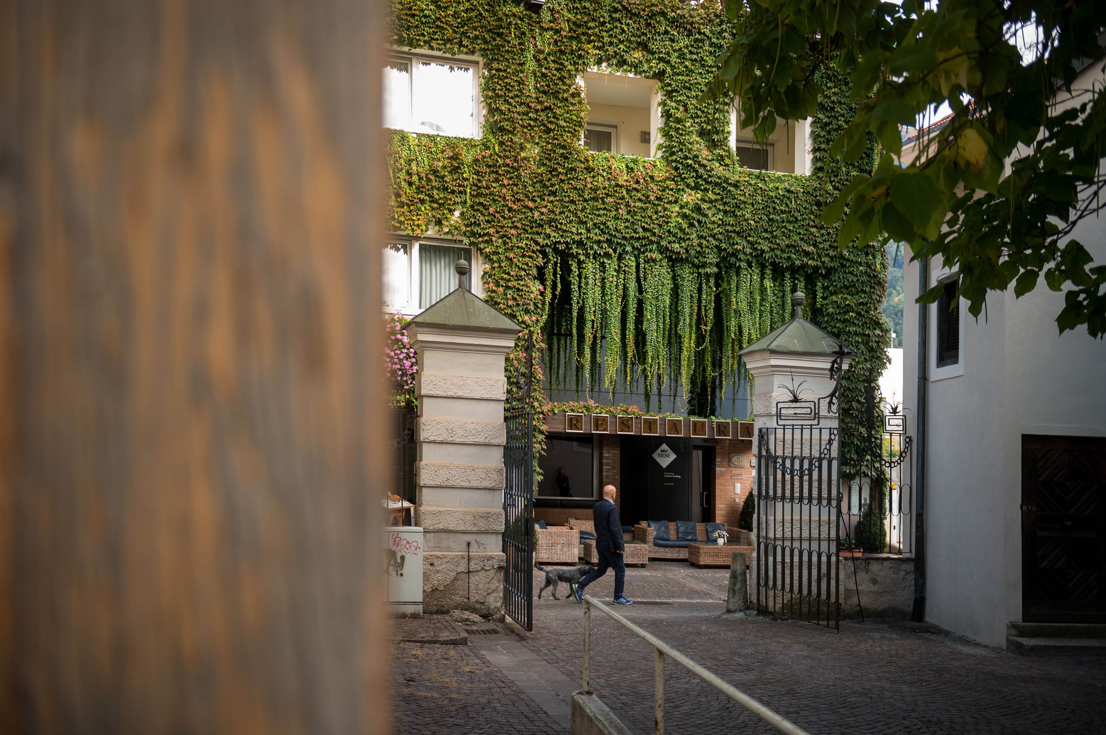 Un bâtiment dont les murs sont recouverts de lierre, une entrée fermée par un portail et une personne qui promène un chien.